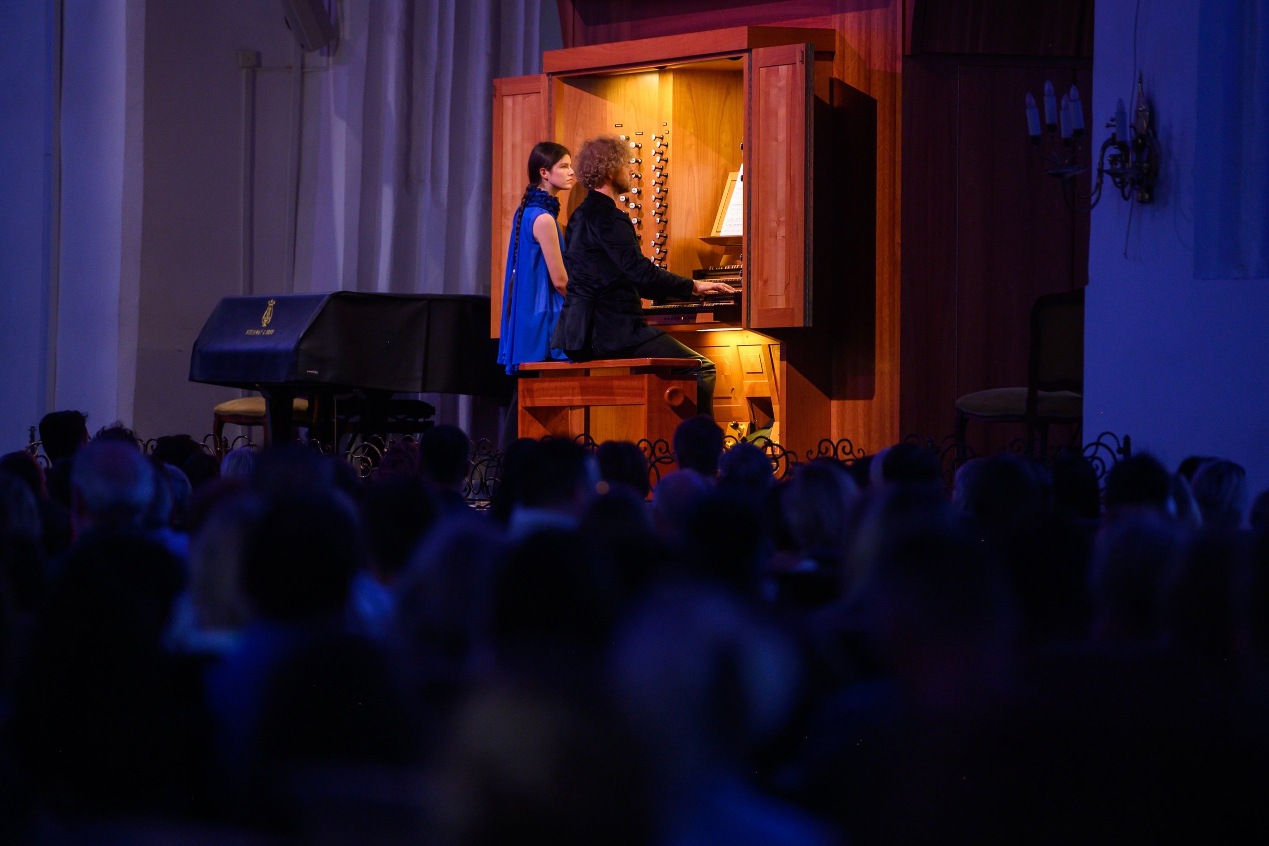 Денни Вильке, орган